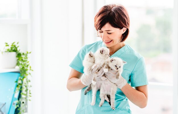kittens for sale UAE